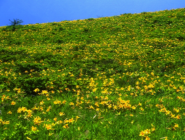 �j�b�R�E�L�X�Q