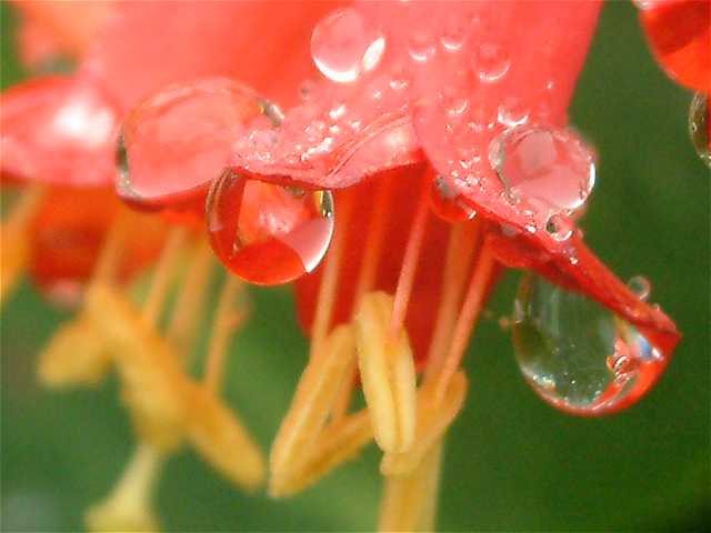 �c�L�k�L�j���h�E